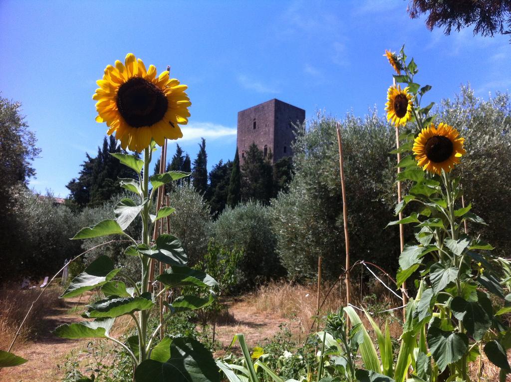 Torre Dei Belforti モンテカティーニ・ヴァル・ディ・チェーチナ エクステリア 写真